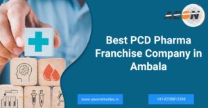 Read more about the article PCD Pharma Franchise Company in Ambala
